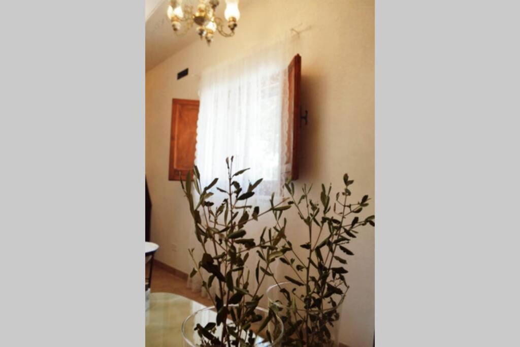 Trulli Monteforte Villa Castelli Extérieur photo