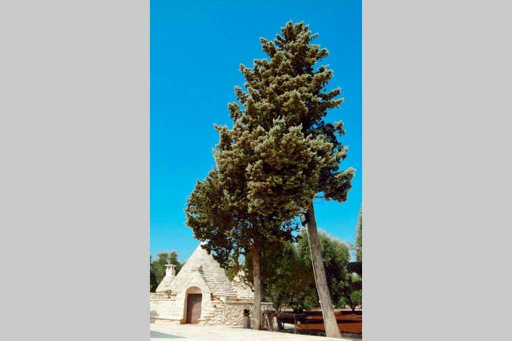 Trulli Monteforte Villa Castelli Extérieur photo