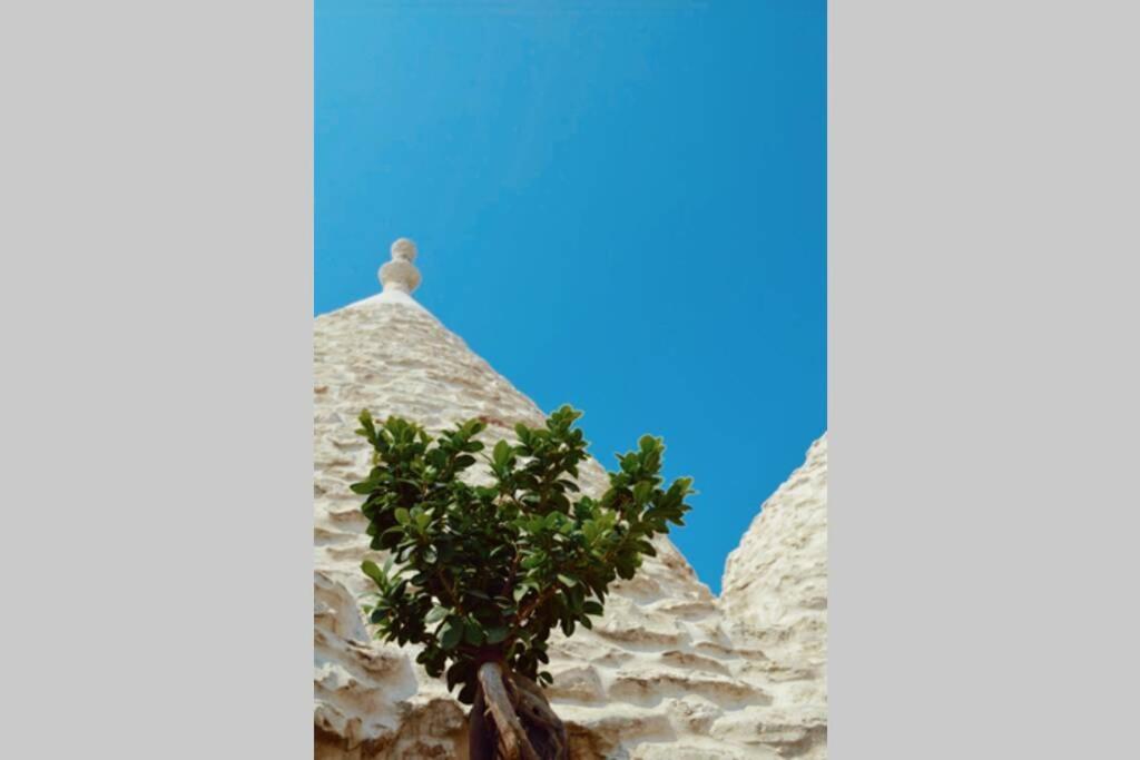 Trulli Monteforte Villa Castelli Extérieur photo